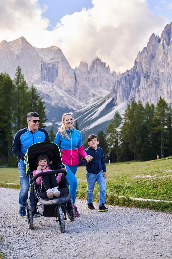 Family Hotel Andes - Only For Family 维哥迪法萨 外观 照片